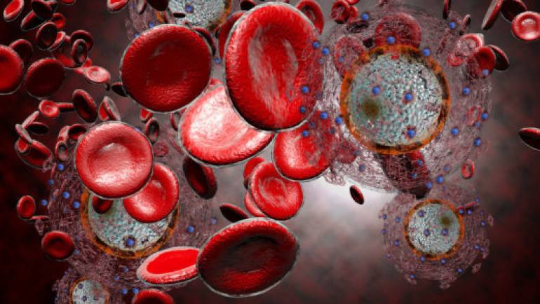 ¿TENEMOS ABIERTAS LAS PUERTAS A LA INMORTALIDAD?