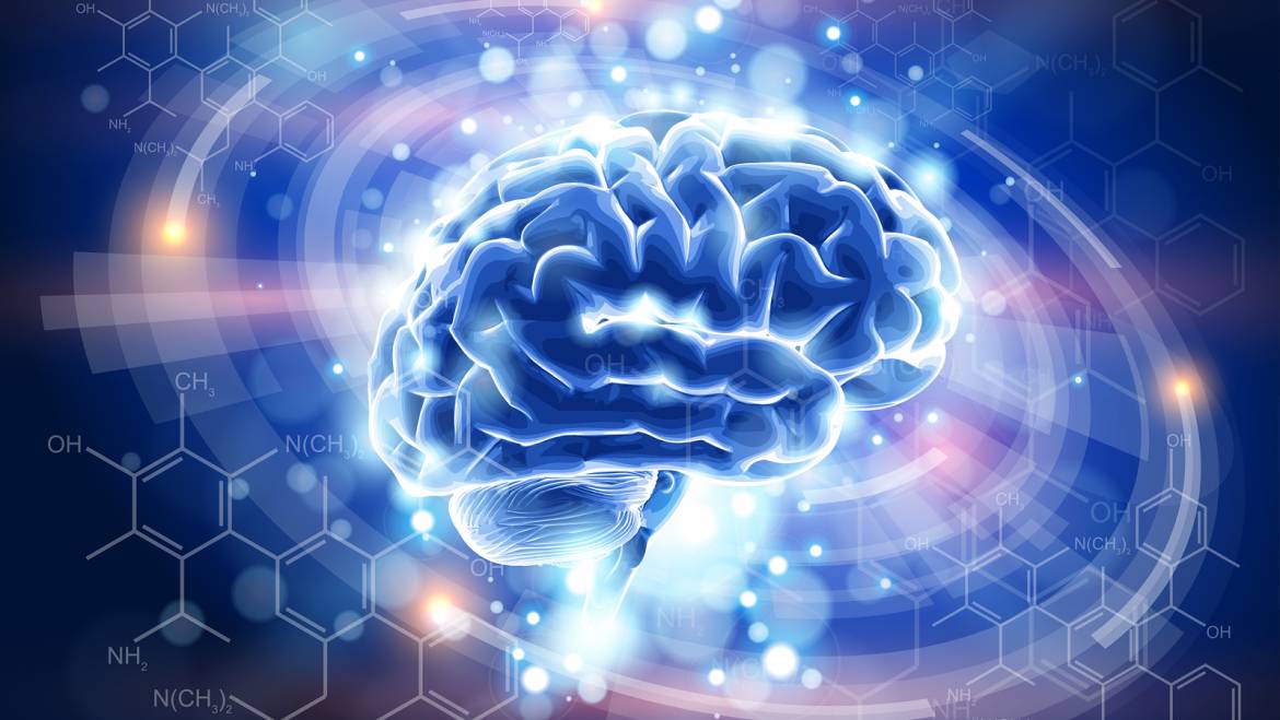 ¿Es posible “Insertar” conocimientos directamente en el cerebro?
