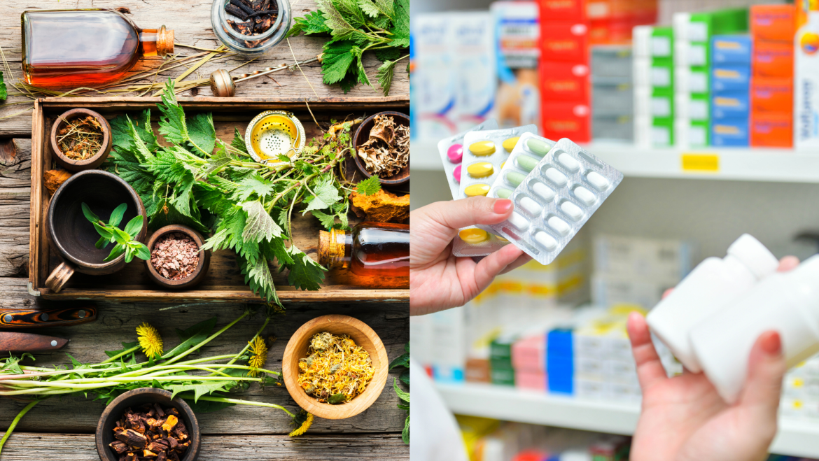 Plantas medicinales y medicamentos: ¿Qué es mejor?